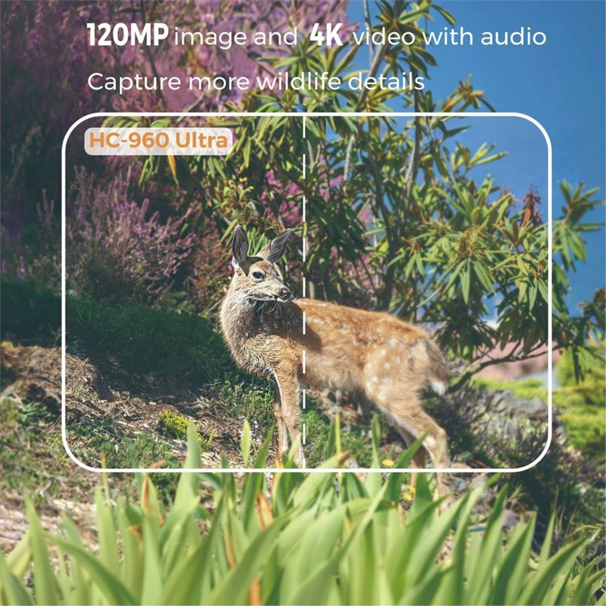 Hunting And Outdoor Shows - güncelleme. Açık Hava 4G 120MP 4K